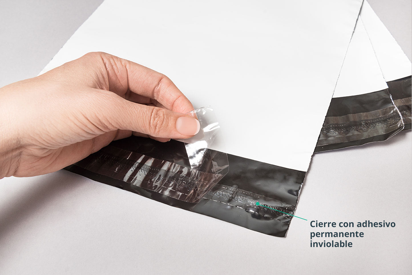 BOLSA DE SEGURIDAD GRANDE | PLASTICO