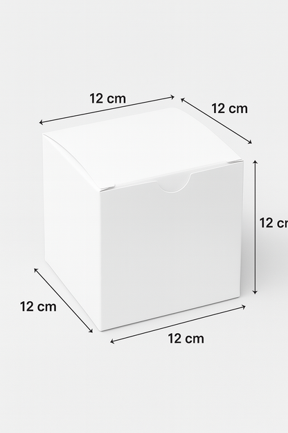 CAJA HAMBURGUESAS